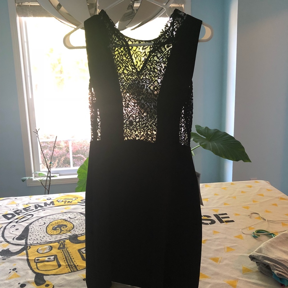 Zara Sexy Little Night Black Lace Dress